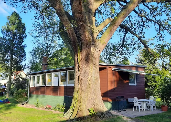 Eichenblatt Werder (Havel)